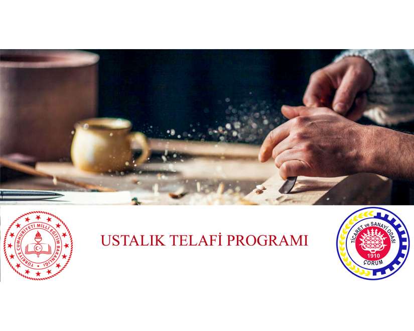 USTALIK TELAFİ PROGRAMI