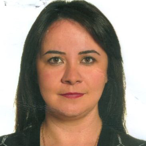 Sinem SARI