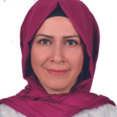 Yasemin ÖZDEN AYDIN